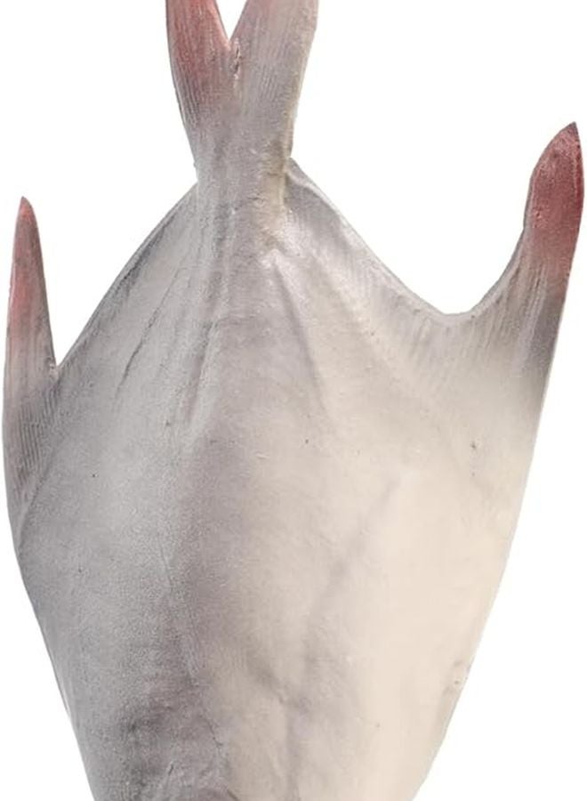 GLEAVI Realistic Fake Fish Model Kitchen Prop Home Decoration Display Easy Maintenance - Image 1